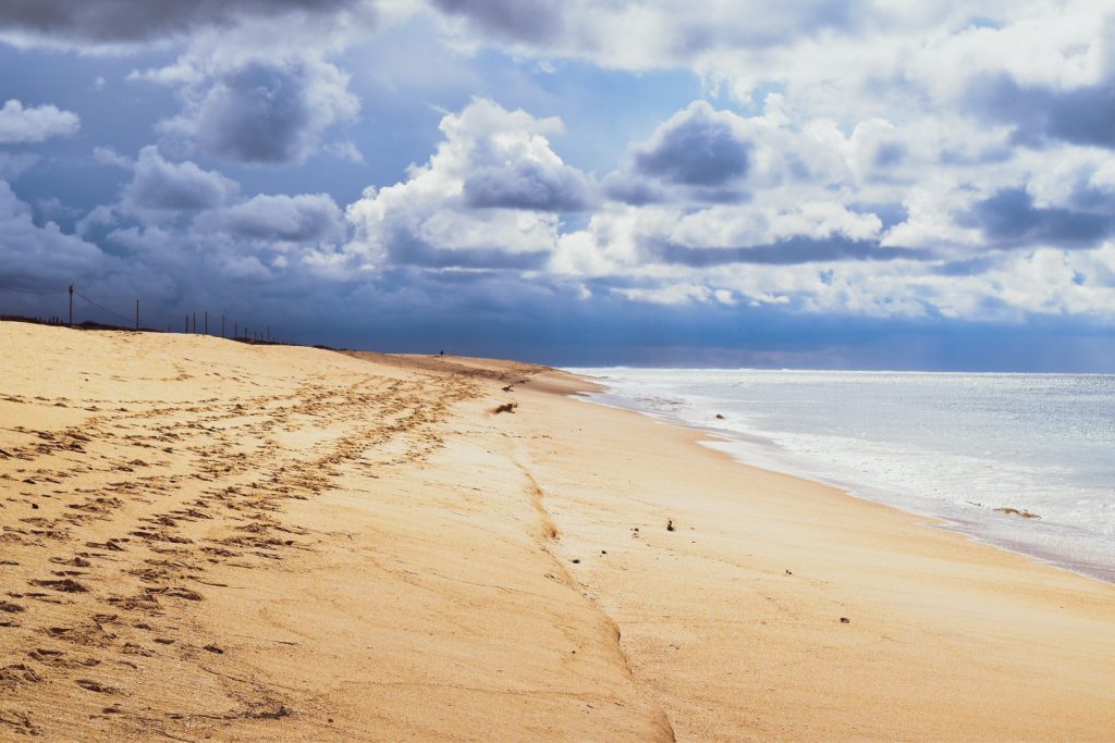 the path